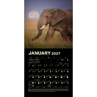 Lunar 2027 Wall Calendar