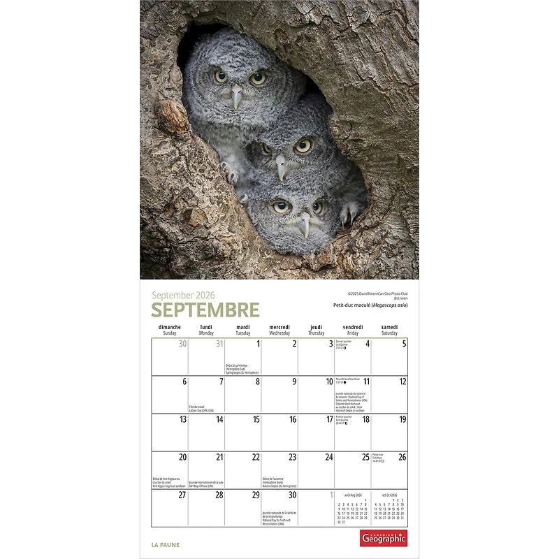 Canadian Geographic La Faune 2026 Mini Calendar (French)