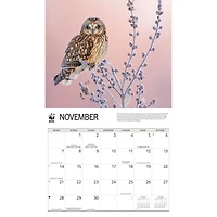 World Wildlife Fund Owls 2027 Wall Calendar