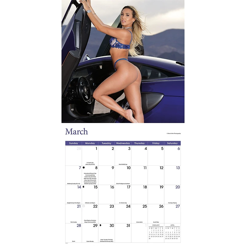 Lingerie 2027 Wall Calendar