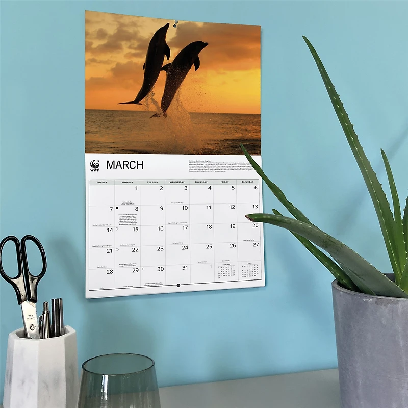 World Wildlife Fund Dolphins 2027 Wall Calendar