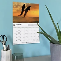 World Wildlife Fund Dolphins 2027 Wall Calendar
