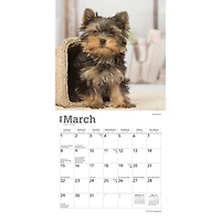 Yorkshire Terrier Puppies 2026 Mini Calendar