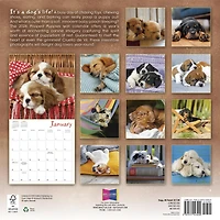 Pooped Puppies 2026 Wall Calendar - Online Only