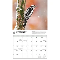 World Wildlife Fund Backyard Birds 2027 Wall Calendar