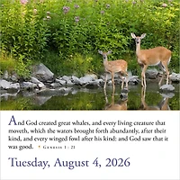 Bible Verses 365 2026 Box Calendar
