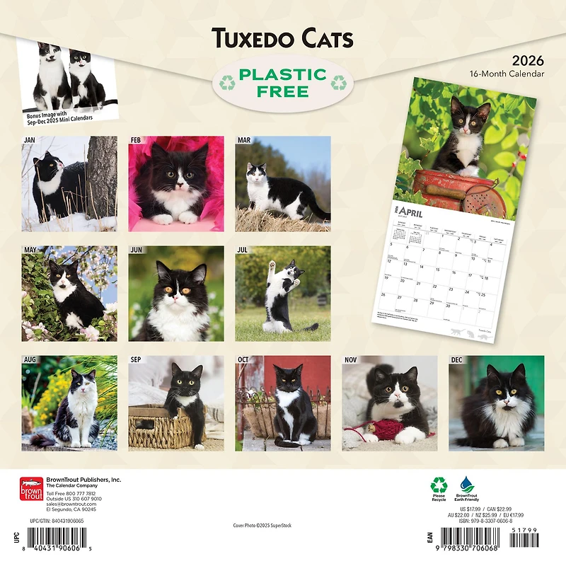 Tuxedo Cats 2026 Wall Calendar
