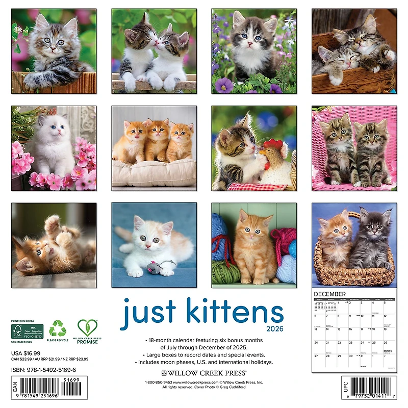 Just Kittens 2026 Wall Calendar