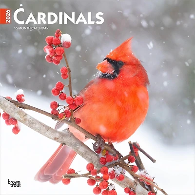 Cardinals 2026 Wall Calendar