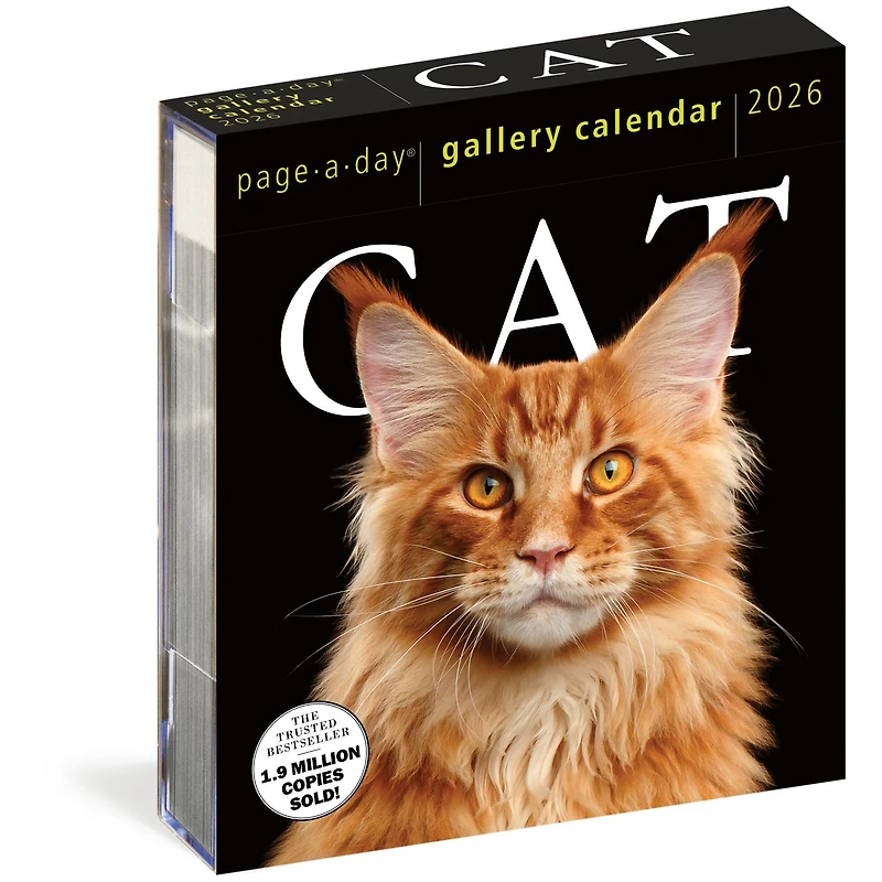 Cat Gallery 2026 Box Calendar