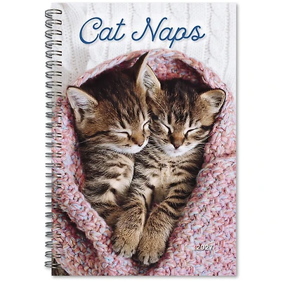 Cat Naps 2027 Engagement Calendar