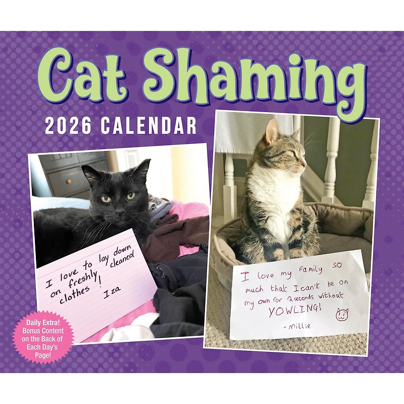 Cat Shaming 2026 Box Calendar
