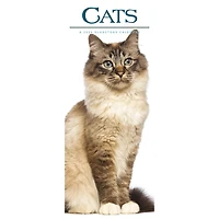 Cats 2026 Poster Calendar