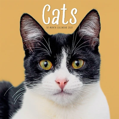 Cats 2027 Wall Calendar