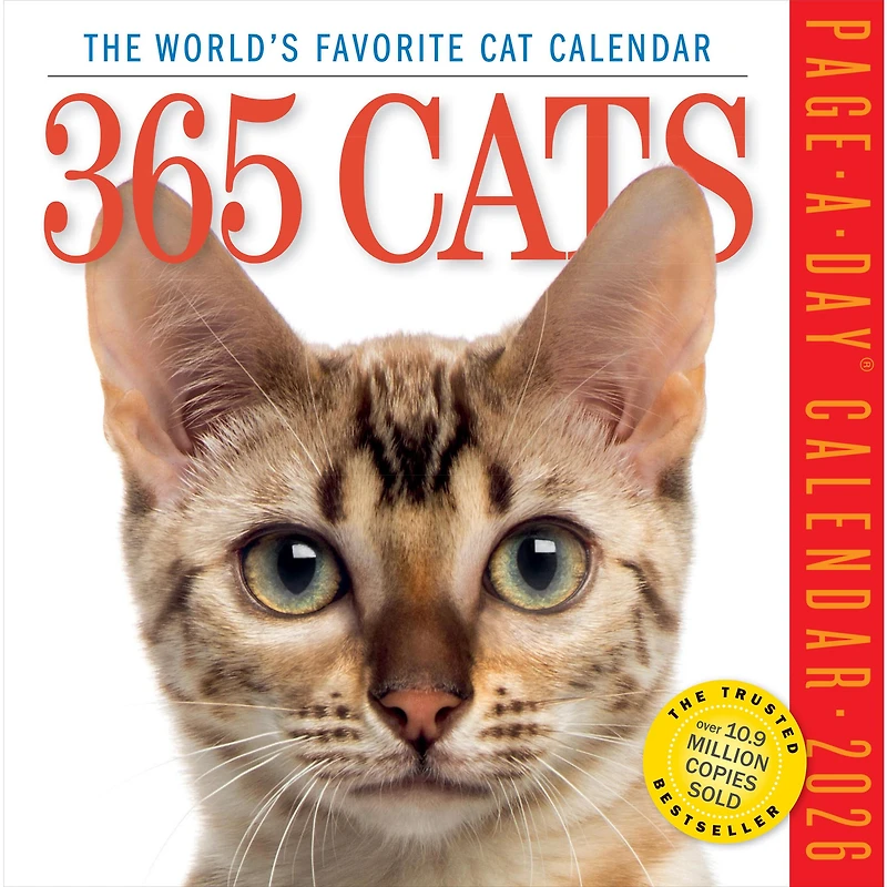 Cats 365 2026 Box Calendar