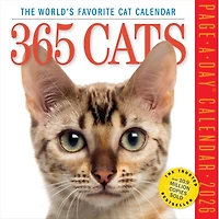 Cats 365 2026 Box Calendar