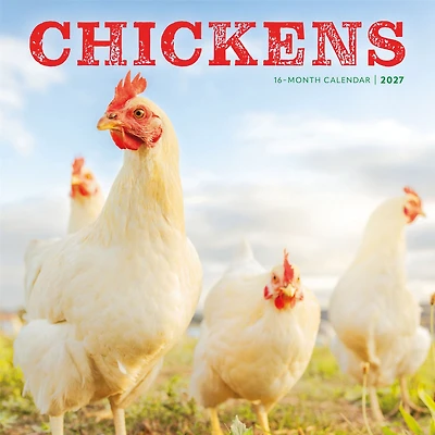 Chickens 2027 Wall Calendar