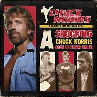 Chuck Norris 2027 Wall Calendar