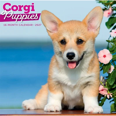 Corgi Puppies 2027 Wall Calendar
