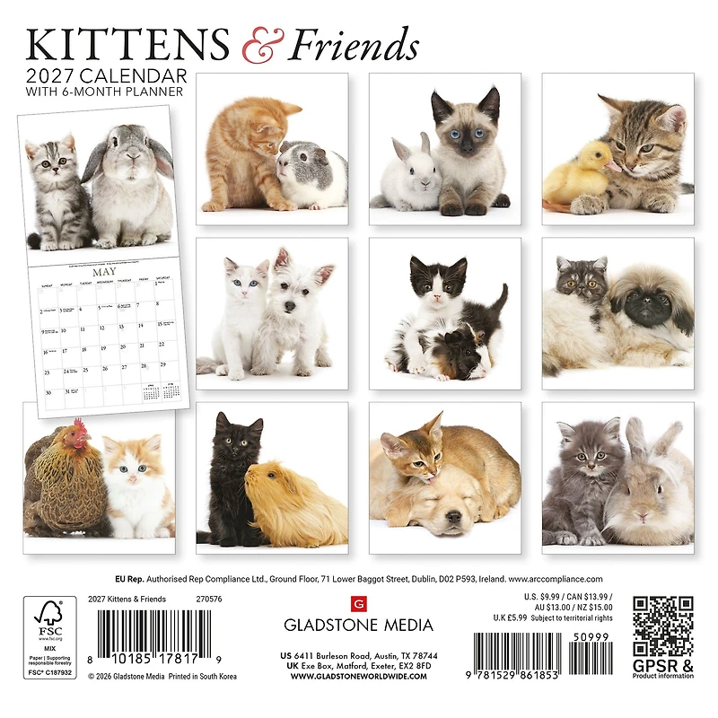 Kittens and Friends 2027 Mini Calendar