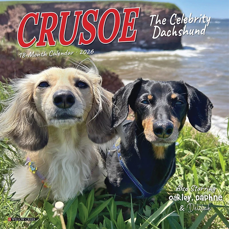Crusoe Dachshund 2026 Mini Calendar