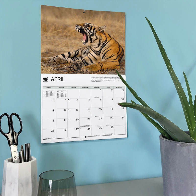 World Wildlife Fund Tigers 2027 Wall Calendar