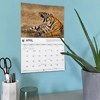 World Wildlife Fund Tigers 2027 Wall Calendar