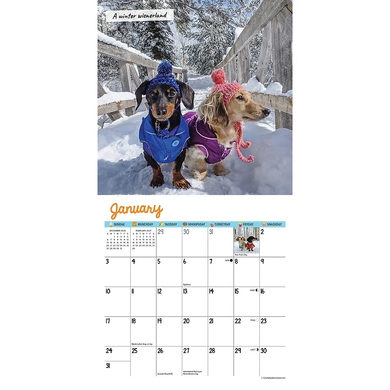 Crusoe the Celebrity Dachshund 2027 Mini Calendar