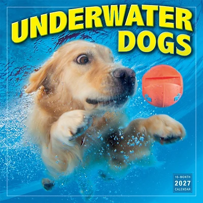 Underwater Dogs 2027 Wall Calendar