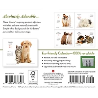 Kittens and Friends 2027 Box Calendar