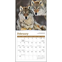 Wolves 2027 Mini Calendar