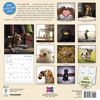 Dogma 2027 Wall Calendar