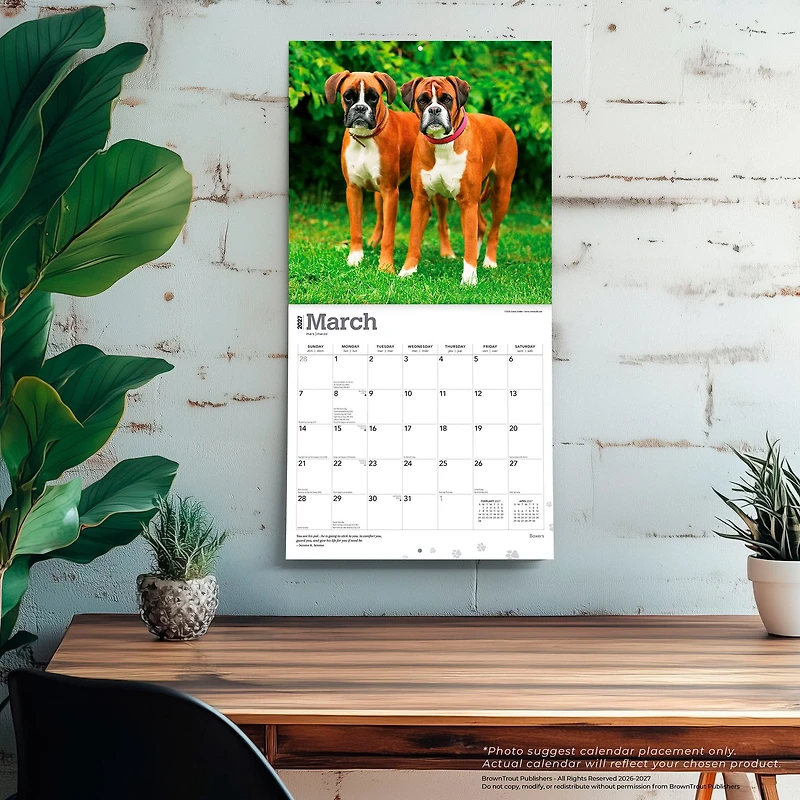 Boxers International 2027 Wall Calendar