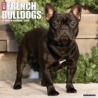 Just French Bulldogs 2026 Wall Calendar