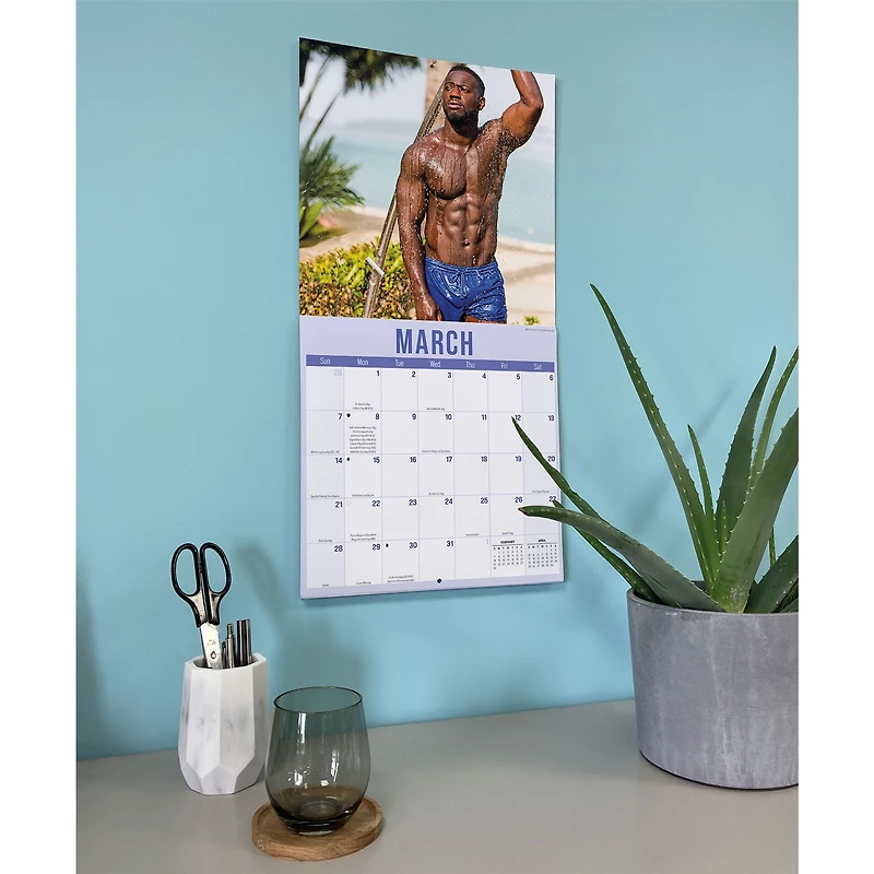 Hunks in Trunks 2027 Wall Calendar