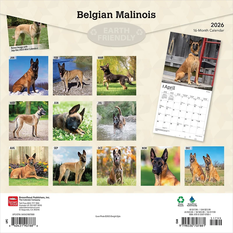 Belgian Malinois 2026 Wall Calendar - Online Only