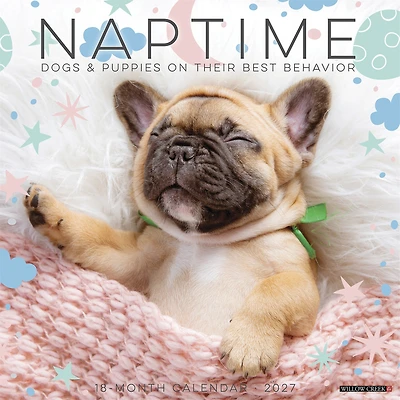 Naptime: Dogs & Puppies on their Best Behavior 2027 Wall Calendar