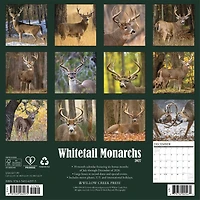 Whitetail Monarchs 2027 Wall Calendar