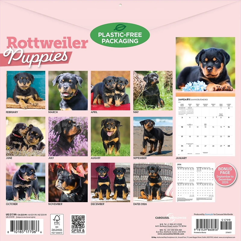 Rottweiler Puppies 2027 Wall Calendar