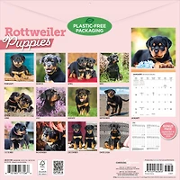 Rottweiler Puppies 2027 Wall Calendar