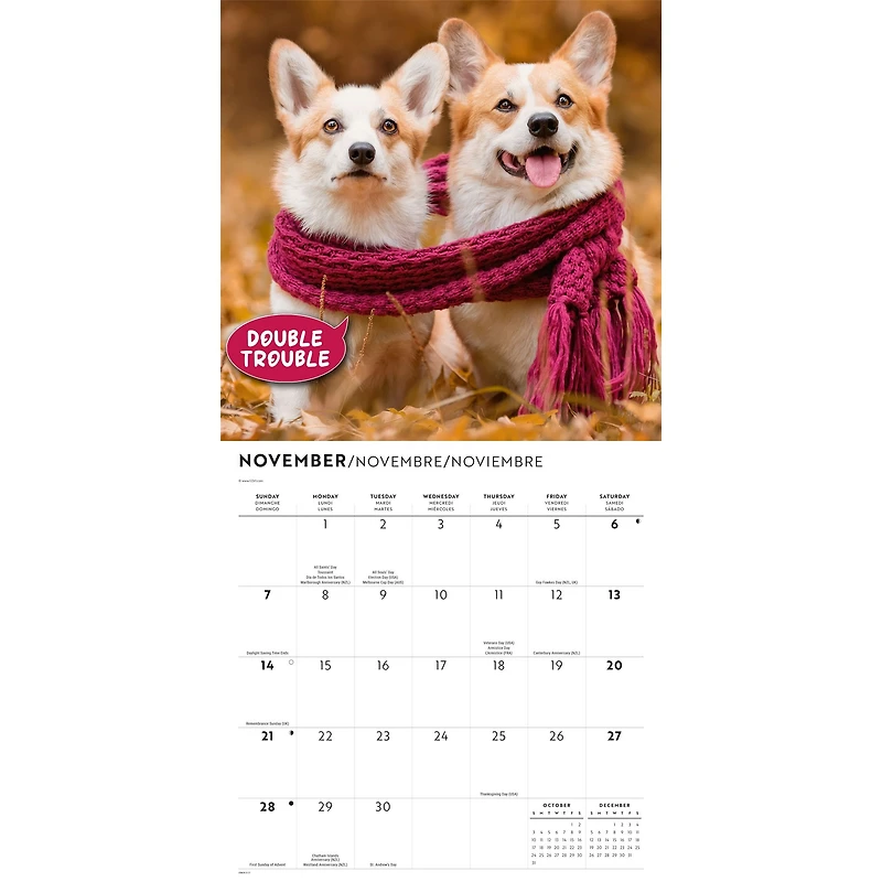 Corgi Capers 2027 Wall Calendar