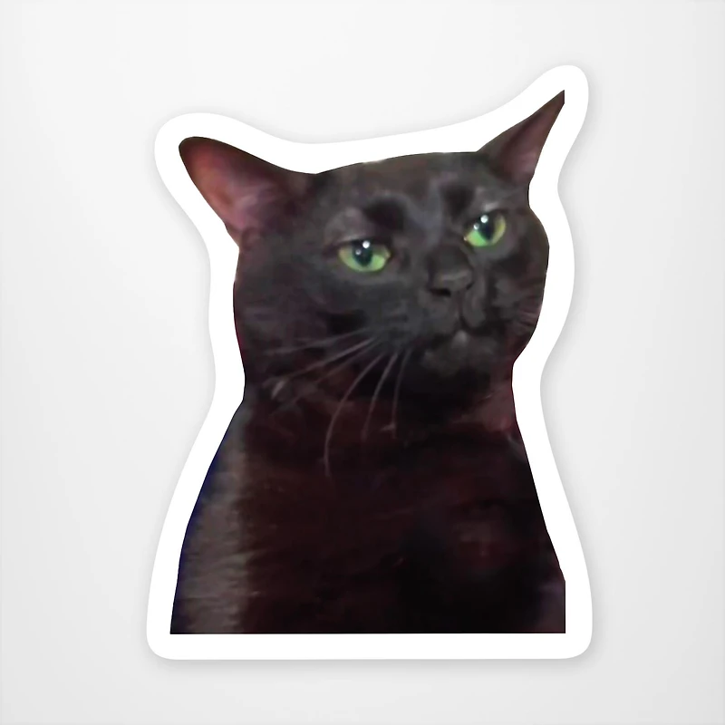 Zoned Out Cat Vinyl Sticker