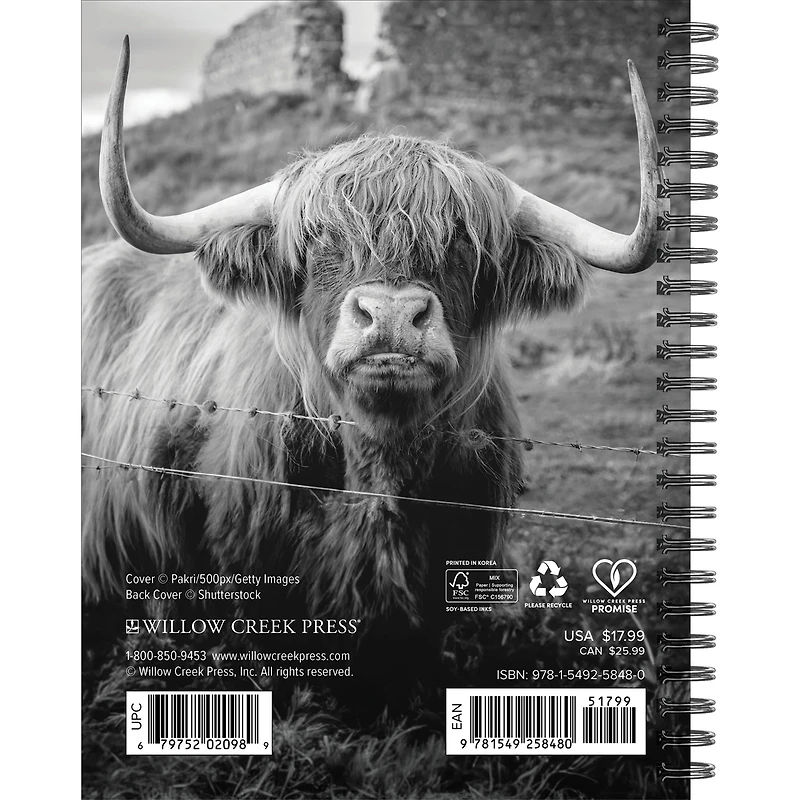 Highland Cows 2026 Engagement Calendar