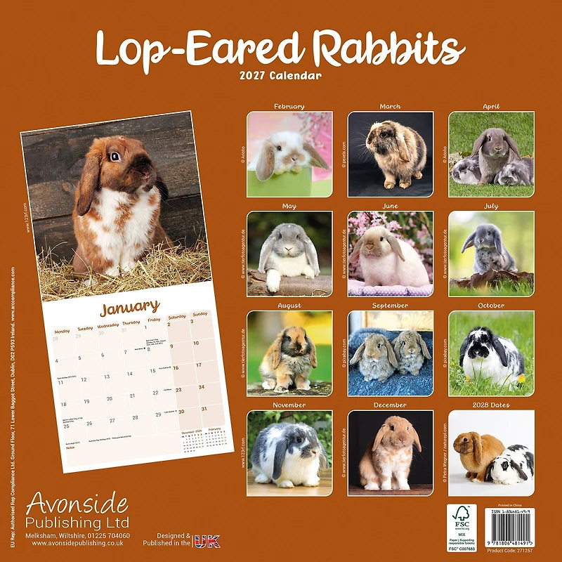 Lop-Eared Rabbits 2027 Wall Calendar