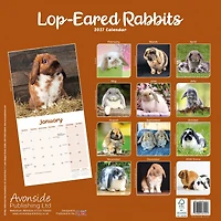 Lop-Eared Rabbits 2027 Wall Calendar