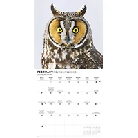 Owls 2027 Wall Calendar
