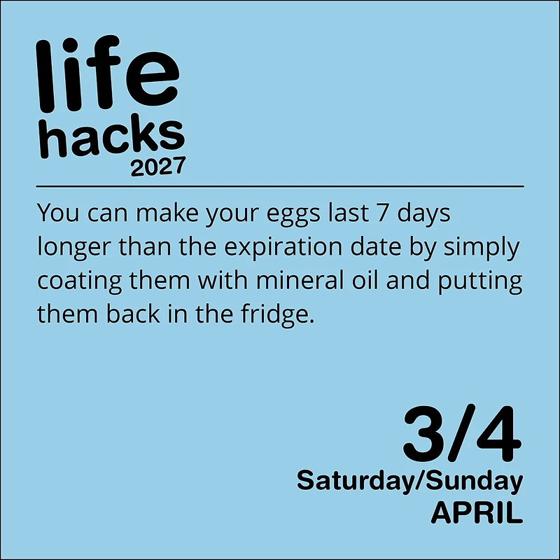 Life Hacks 2027 Box Calendar