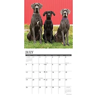 Just Great Danes 2026 Wall Calendar