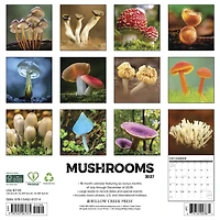 Mushrooms 2027 Wall Calendar - Online Only