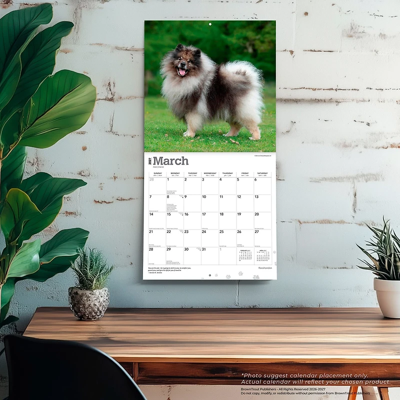 Keeshonden 2027 Wall Calendar